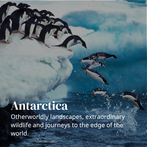 Antarctica